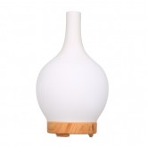 100ML Household Humi...